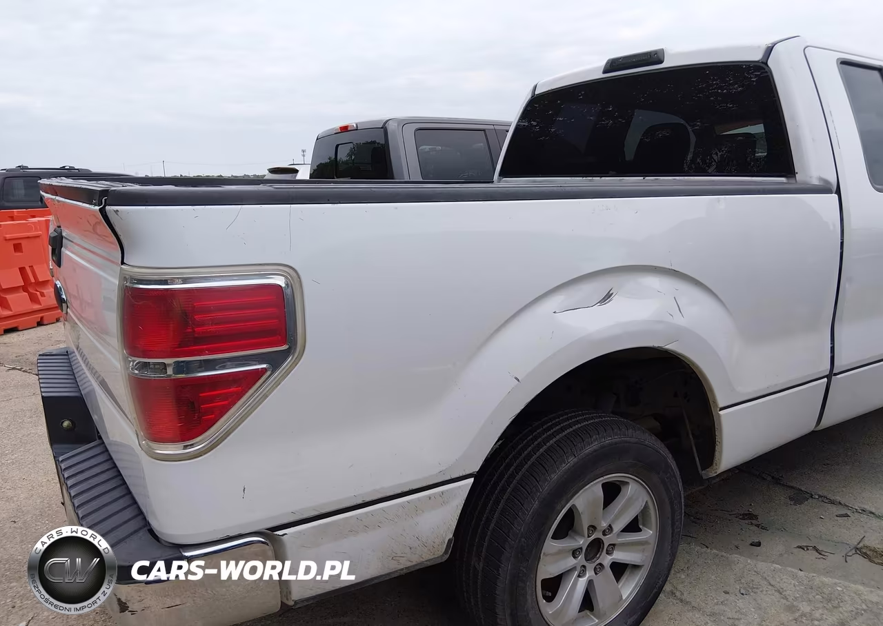 2009 Ford F-150 Stx-Xl VIN:1FTRX12W39FB06348 - 6
