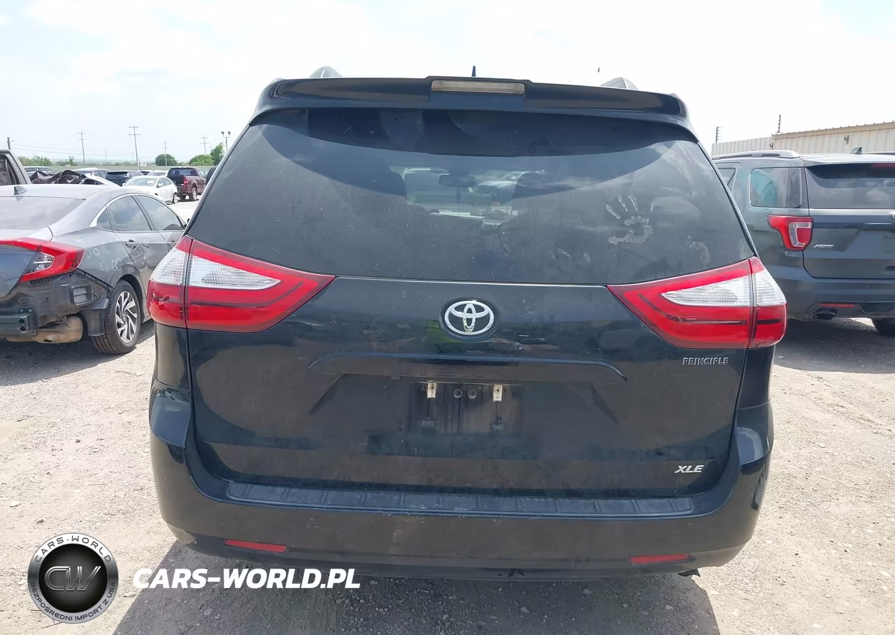 2019 Toyota Sienna Xle 8 Passenger VIN:5TDYZ3DCXKS989486 - 16