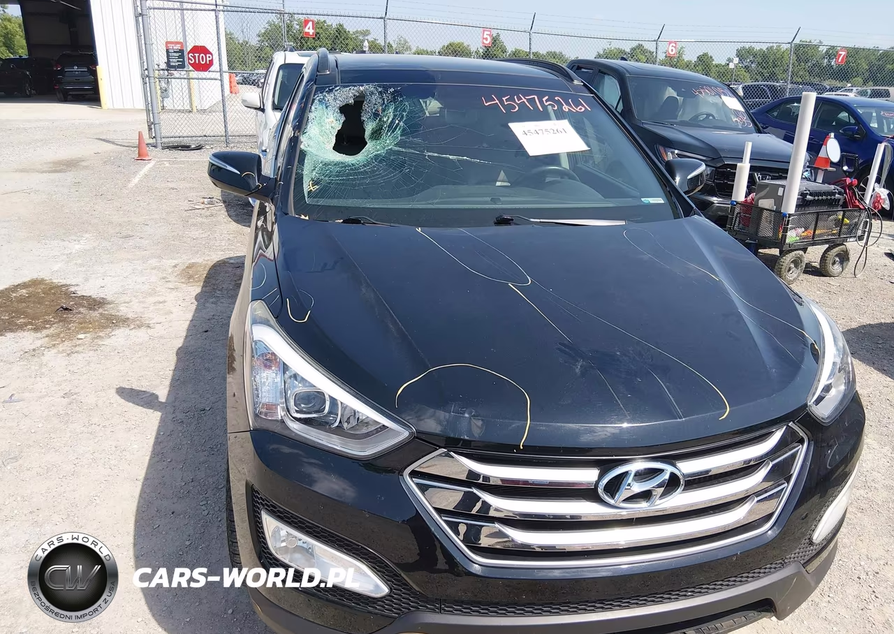 2016 Hyundai Santa Fe Sport 2.0L Turbo VIN:5XYZWDLAXGG310064 - 6