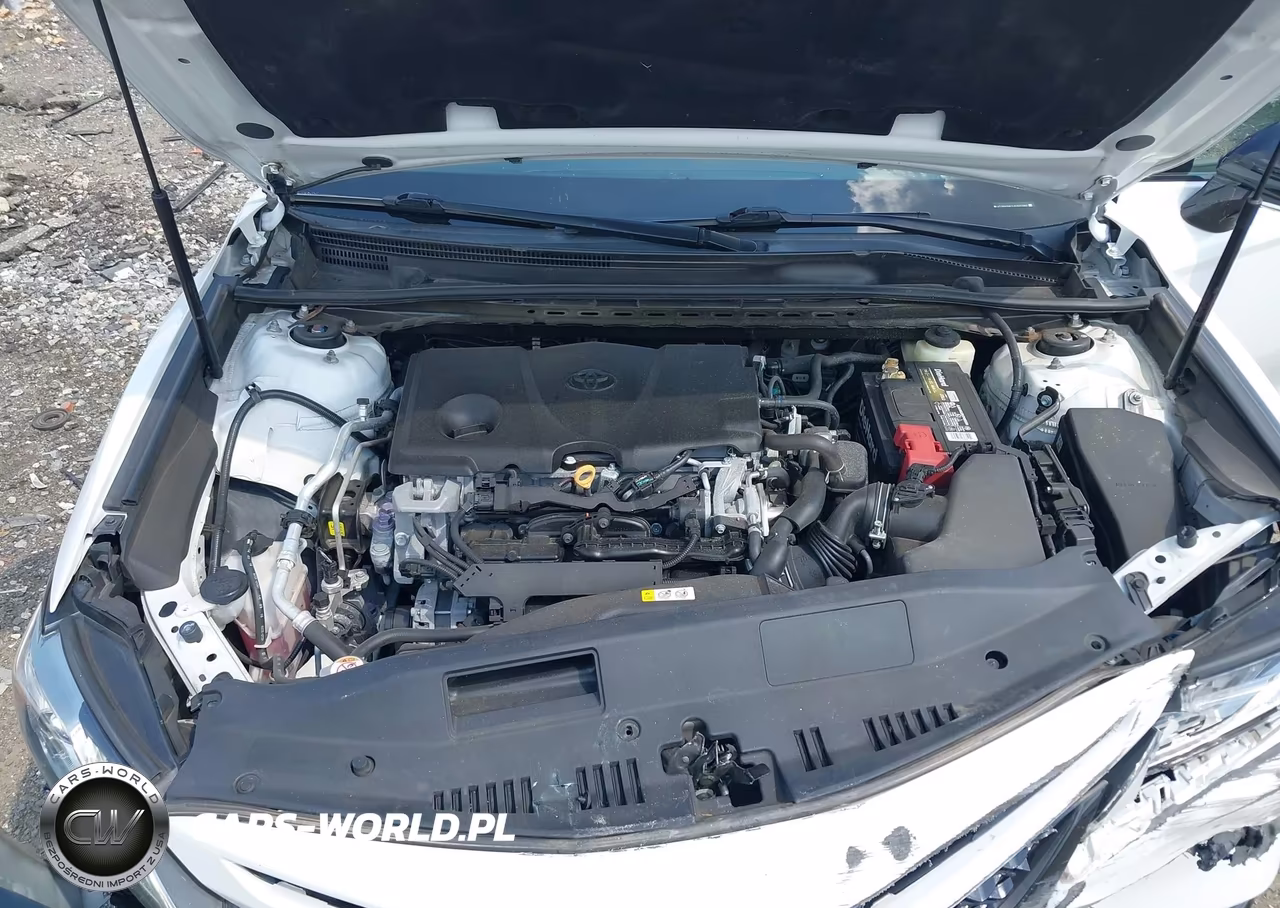 2018 Toyota Camry Xse VIN:4T1B61HK1JU145380 - 10