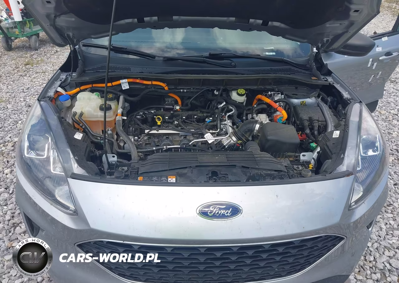 2022 Ford Escape Se Hybrid VIN:1FMCU9BZ2NUA63890 - 10