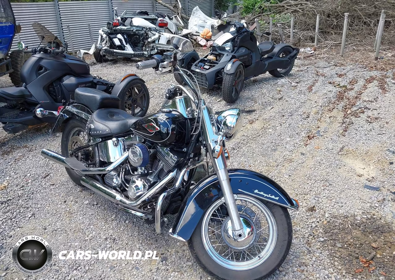 2011 Harley-Davidson Flstc