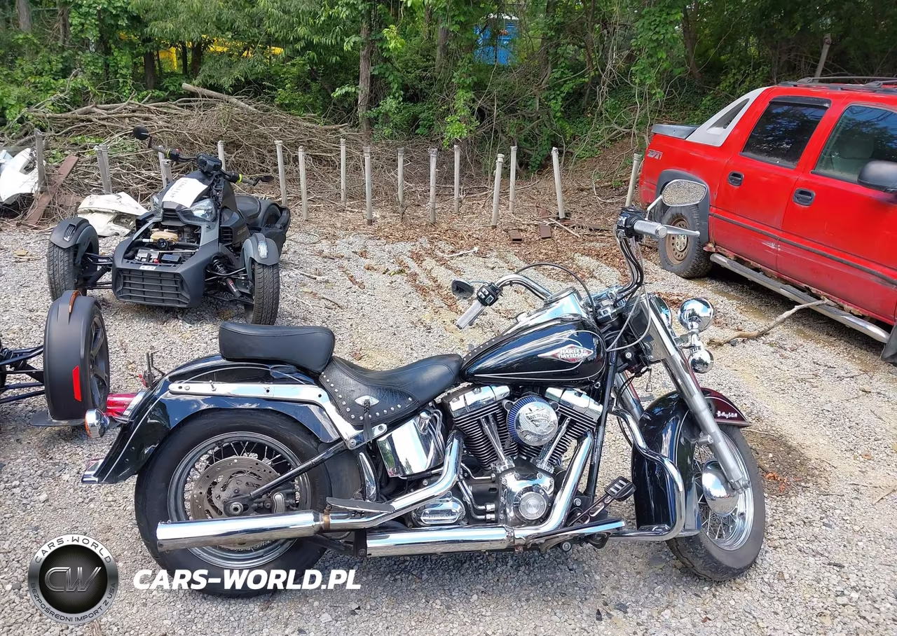2011 Harley-Davidson Flstc VIN:1HD1BW513BB041702 - 11