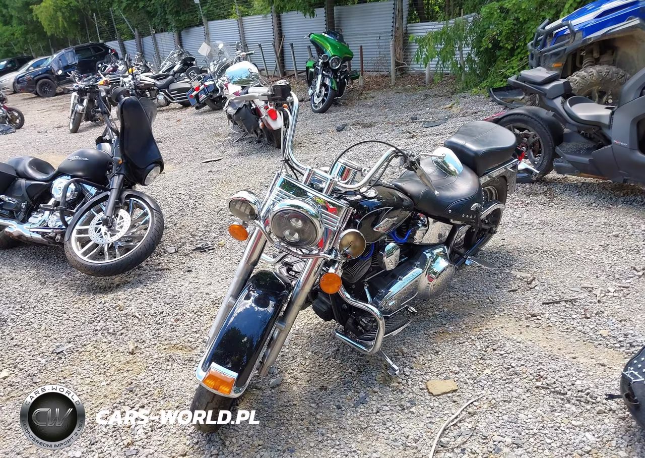 2011 Harley-Davidson Flstc VIN:1HD1BW513BB041702 - 2