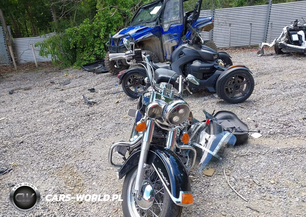 2011 Harley-Davidson Flstc VIN:1HD1BW513BB041702 - 5