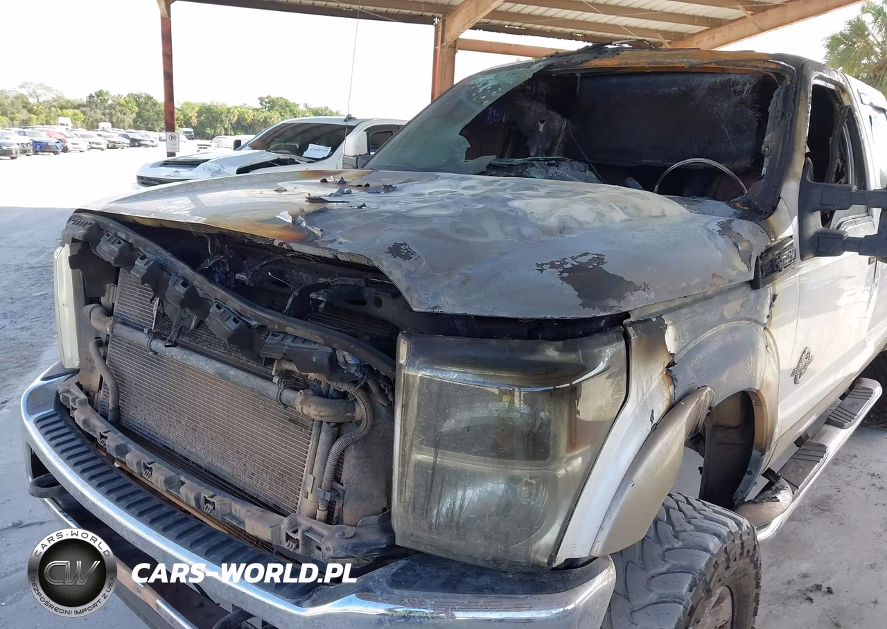 2013 Ford Super Duty F-250 Srw Platinum VIN:1FT7W2BT3DEB50497 - 6