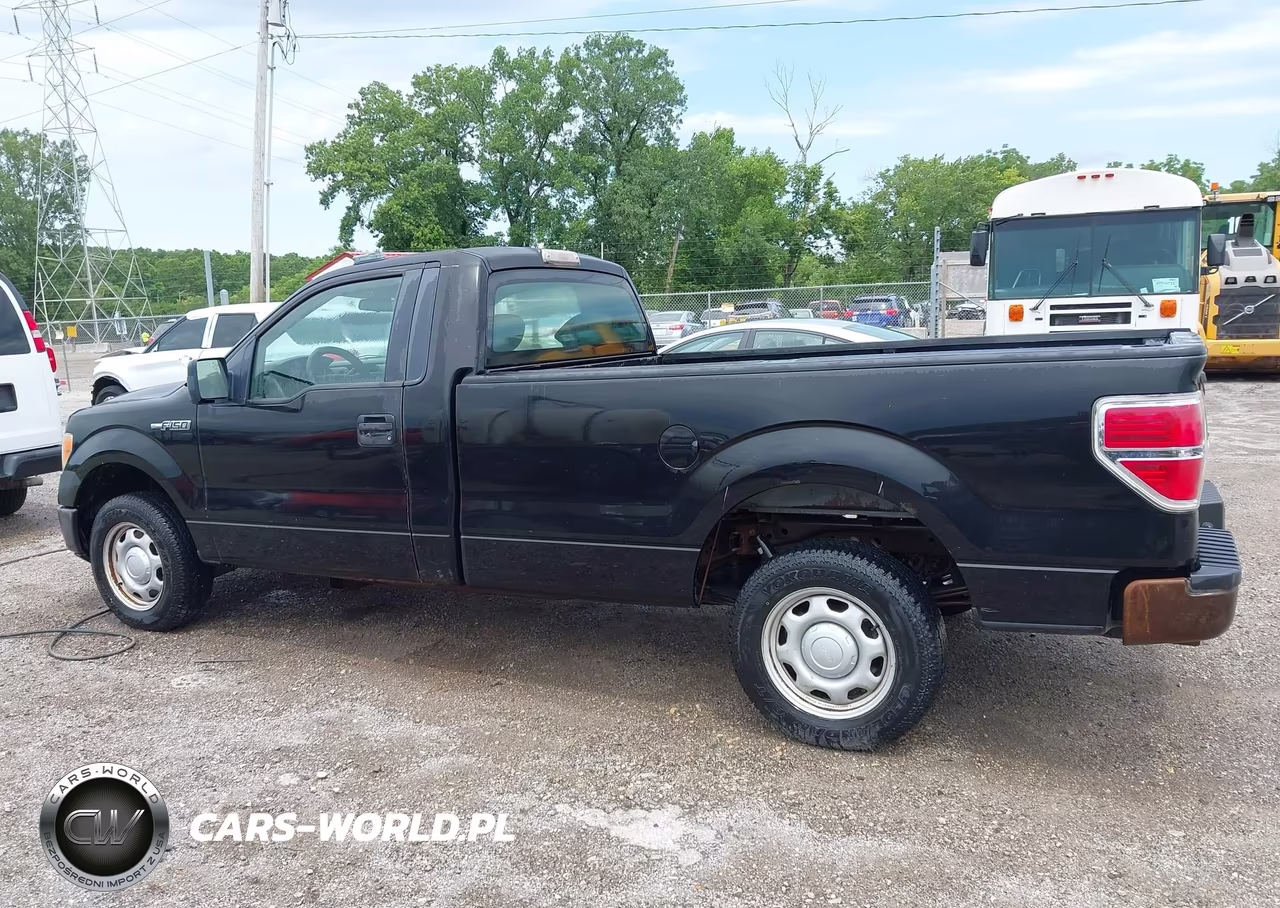 2010 Ford F-150 Stx-Xl-Xl W-Mid-Box Prep-Xlt-Xlt W-Mid-Box Prep VIN:1FTMF1CW5AKA21079 - 19