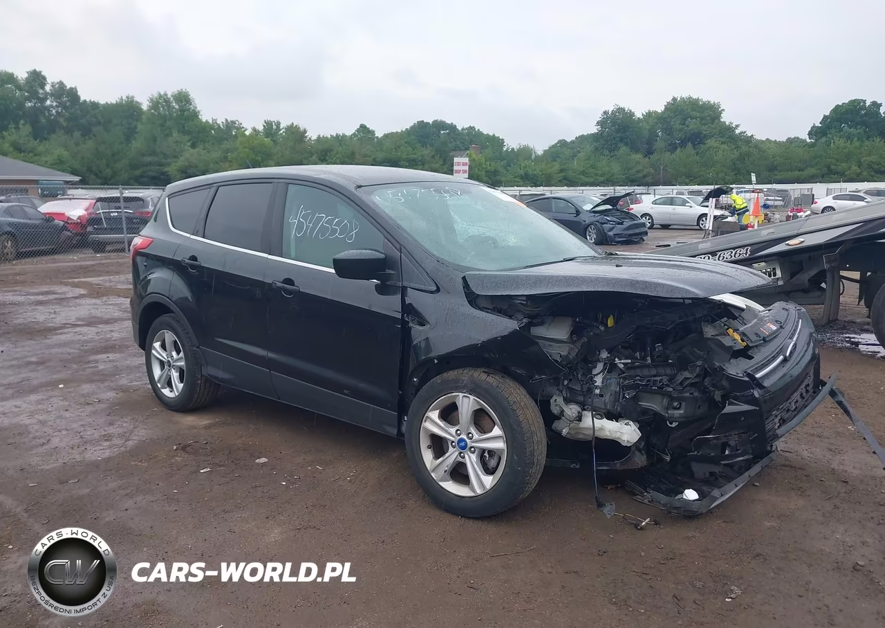 2013 Ford Escape Se