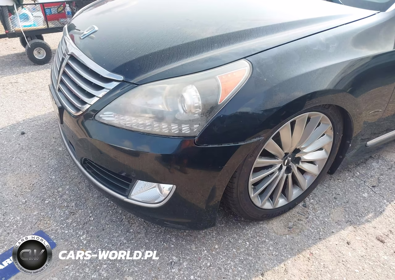 2016 Hyundai Equus Signature VIN:KMHGH4JHXGU102407 - 6