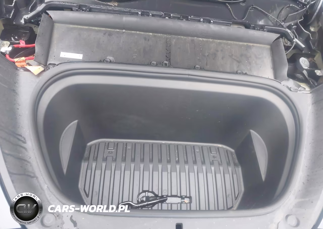 2023 Tesla Model Y Awd-Long Range Dual Motor All-Wheel Drive VIN:7SAYGDEE7PF979654 - 10