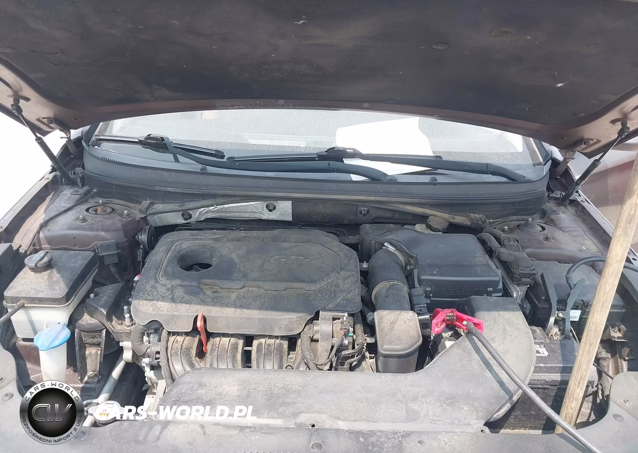 2016 Hyundai Sonata Se VIN:5NPE24AF6GH264198 - 10