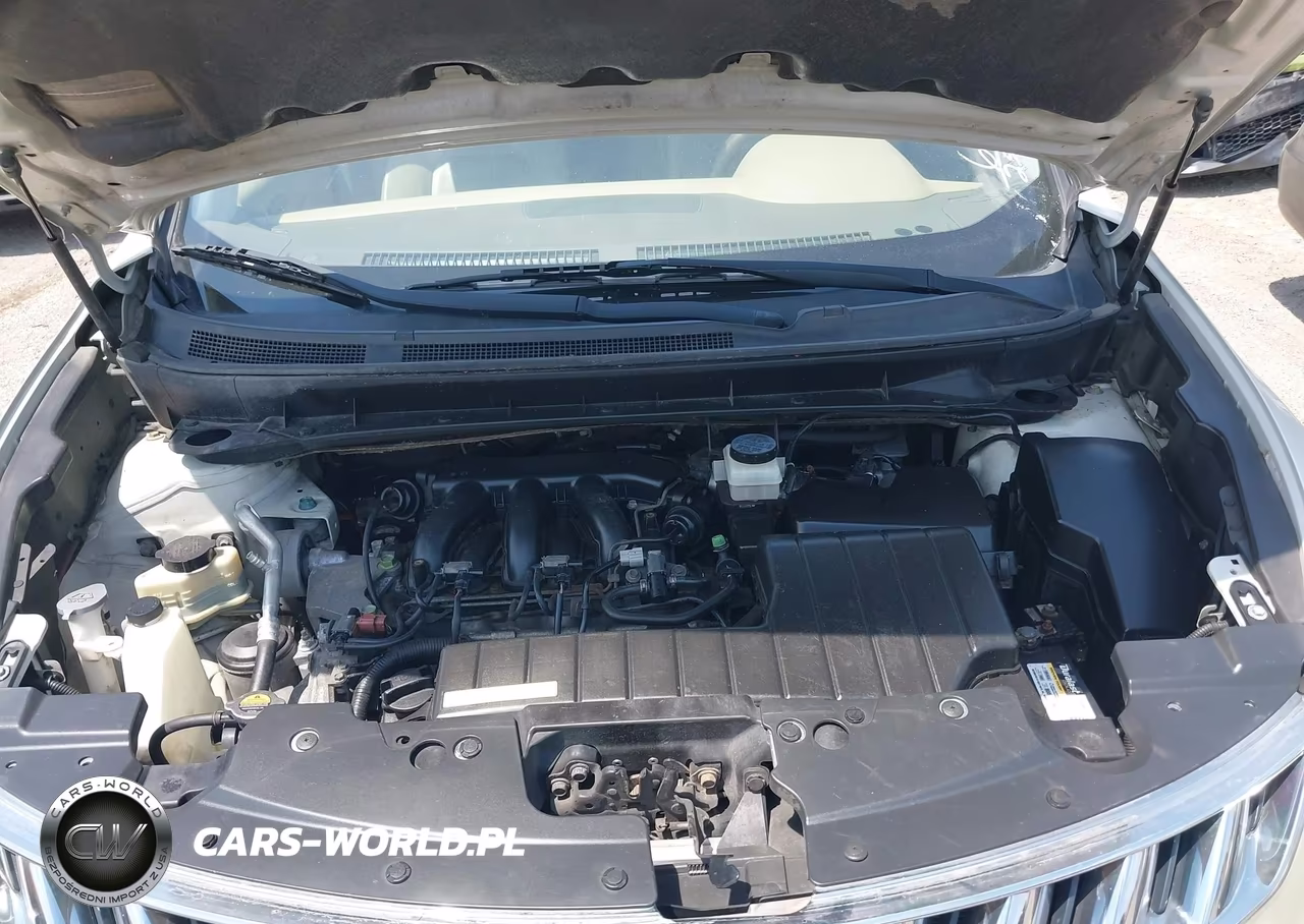 2009 Nissan Murano Sl VIN:JN8AZ18W29W203754 - 10