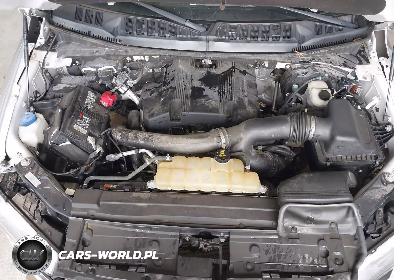 2019 Ford F-150 Xlt VIN:1FTFW1E44KFC07551 - 10