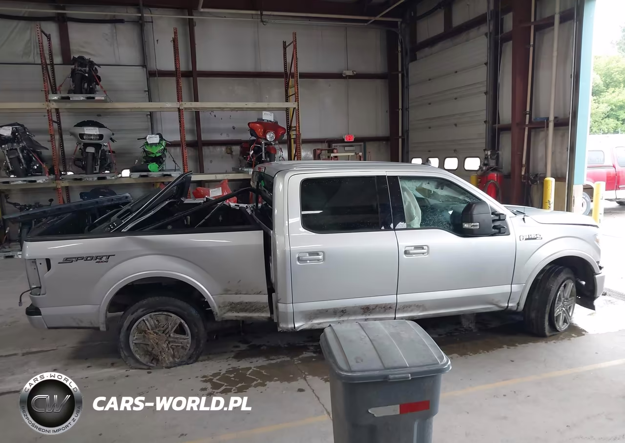2019 Ford F-150 Xlt VIN:1FTFW1E44KFC07551 - 13
