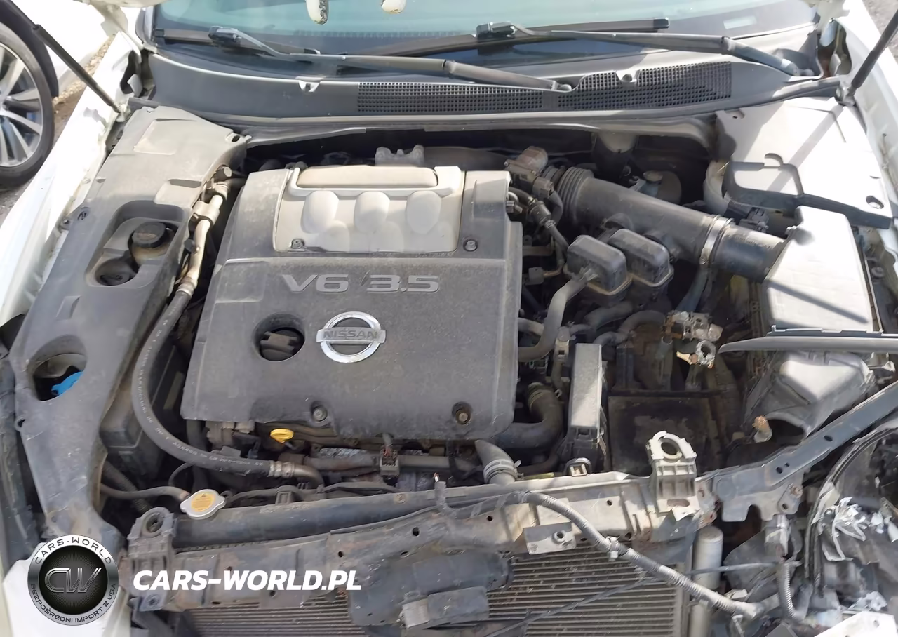 2008 Nissan Maxima 3.5 Se VIN:1N4BA41E88C821788 - 10