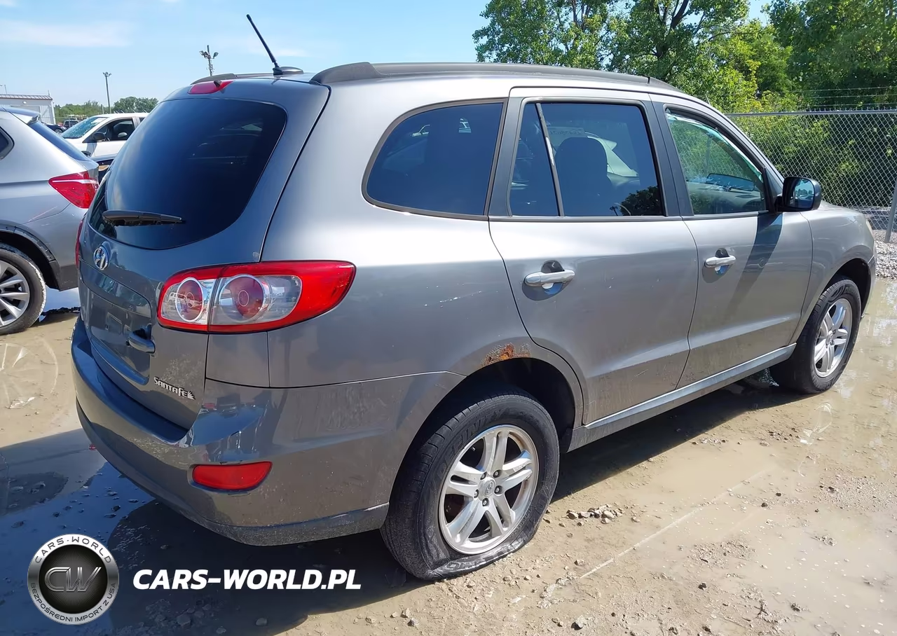2010 Hyundai Santa Fe Gls VIN:5NMSG3AB3AH402554 - 4