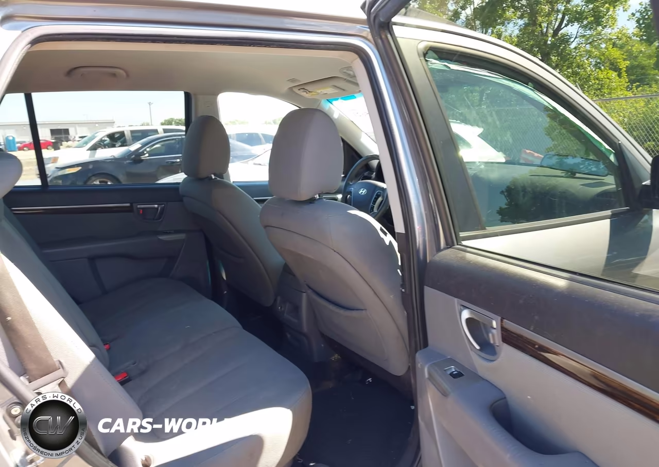 2010 Hyundai Santa Fe Gls VIN:5NMSG3AB3AH402554 - 8