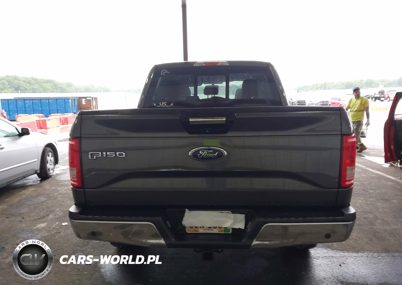 2016 Ford F-150 King Ranch-Lariat-Limited-Platinum-Xl-Xlt VIN:1FTEW1EG3GFB24447 - 16