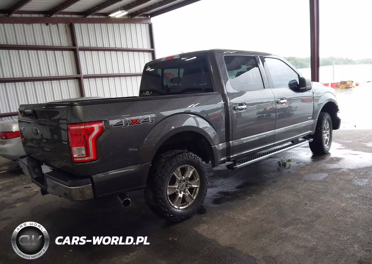2016 Ford F-150 King Ranch-Lariat-Limited-Platinum-Xl-Xlt VIN:1FTEW1EG3GFB24447 - 4