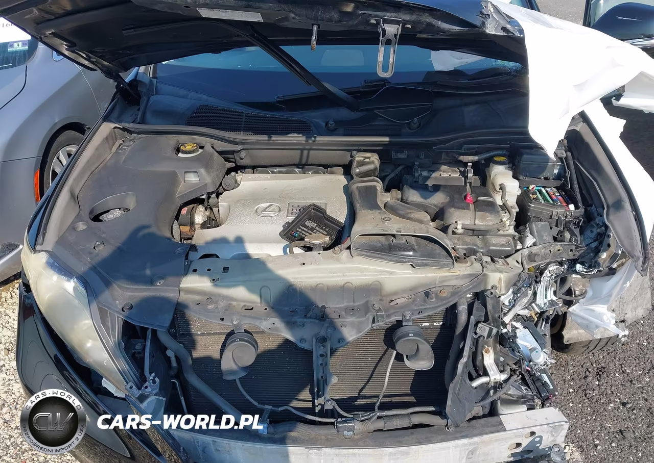 2010 Lexus Rx 450H VIN:JTJBC1BA8A2405456 - 10