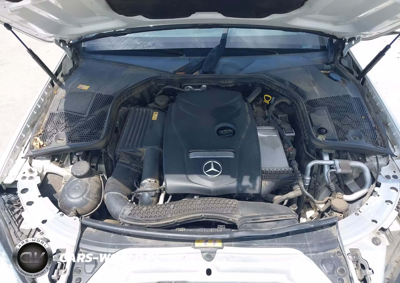 2016 Mercedes-Benz C 300 VIN:55SWF4JB7GU154473 - 10