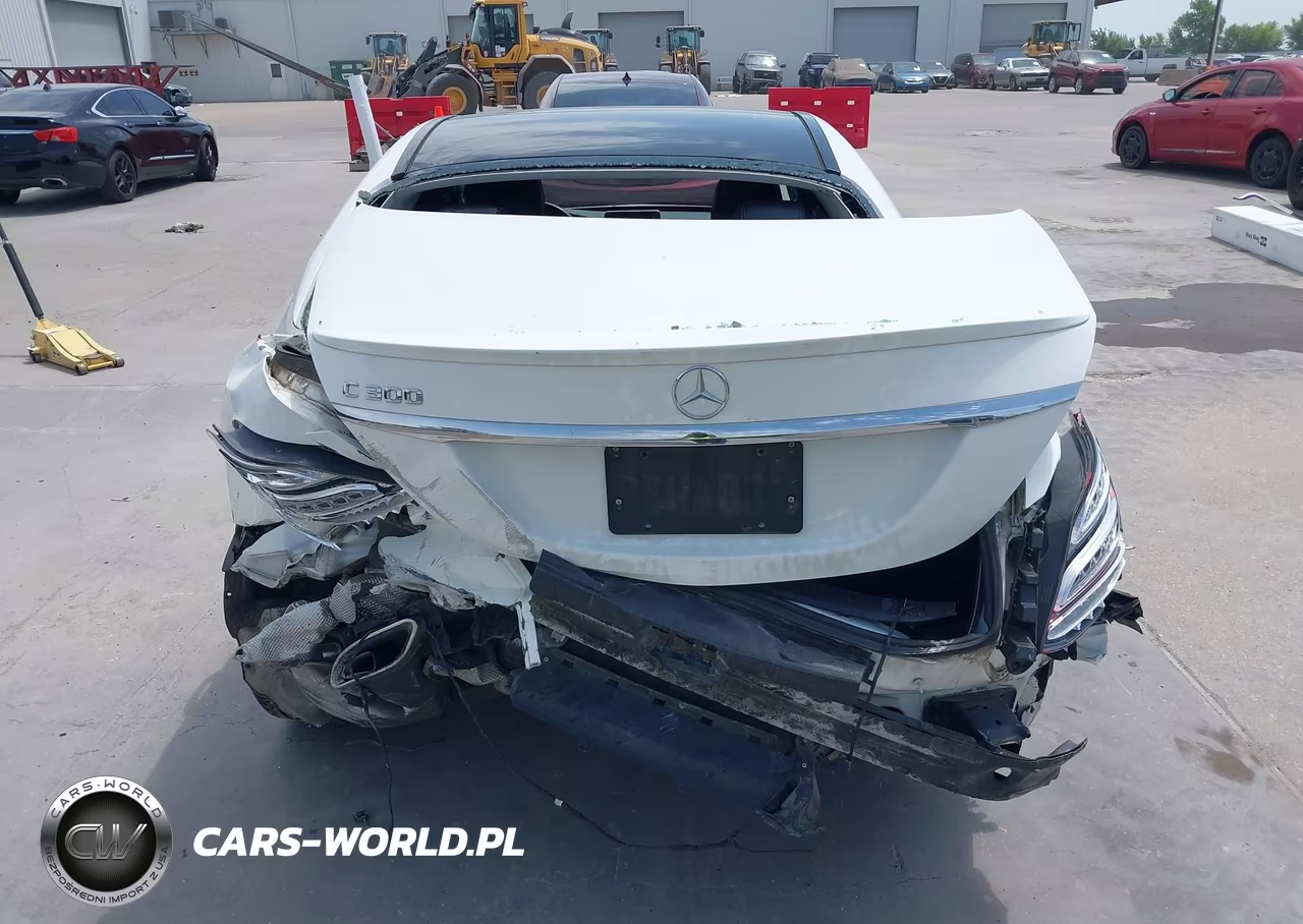 2016 Mercedes-Benz C 300 VIN:55SWF4JB7GU154473 - 17