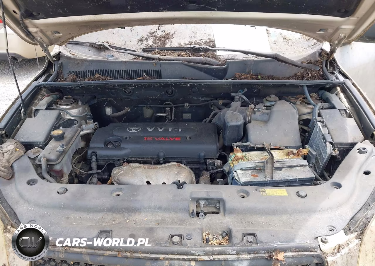 2006 Toyota Rav4 VIN:JTMBD33V066012323 - 10