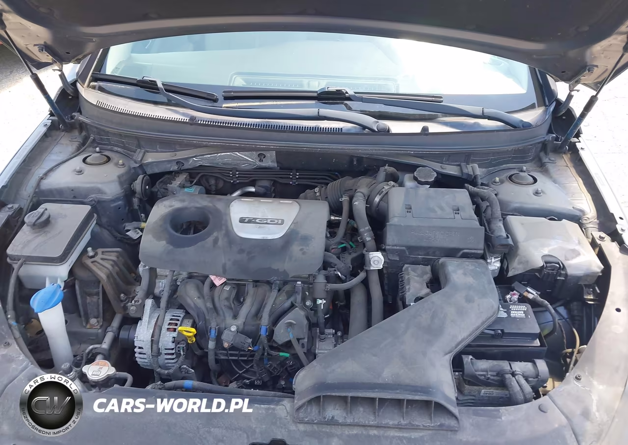2019 Hyundai Sonata Eco VIN:5NPE24AA1KH773953 - 10