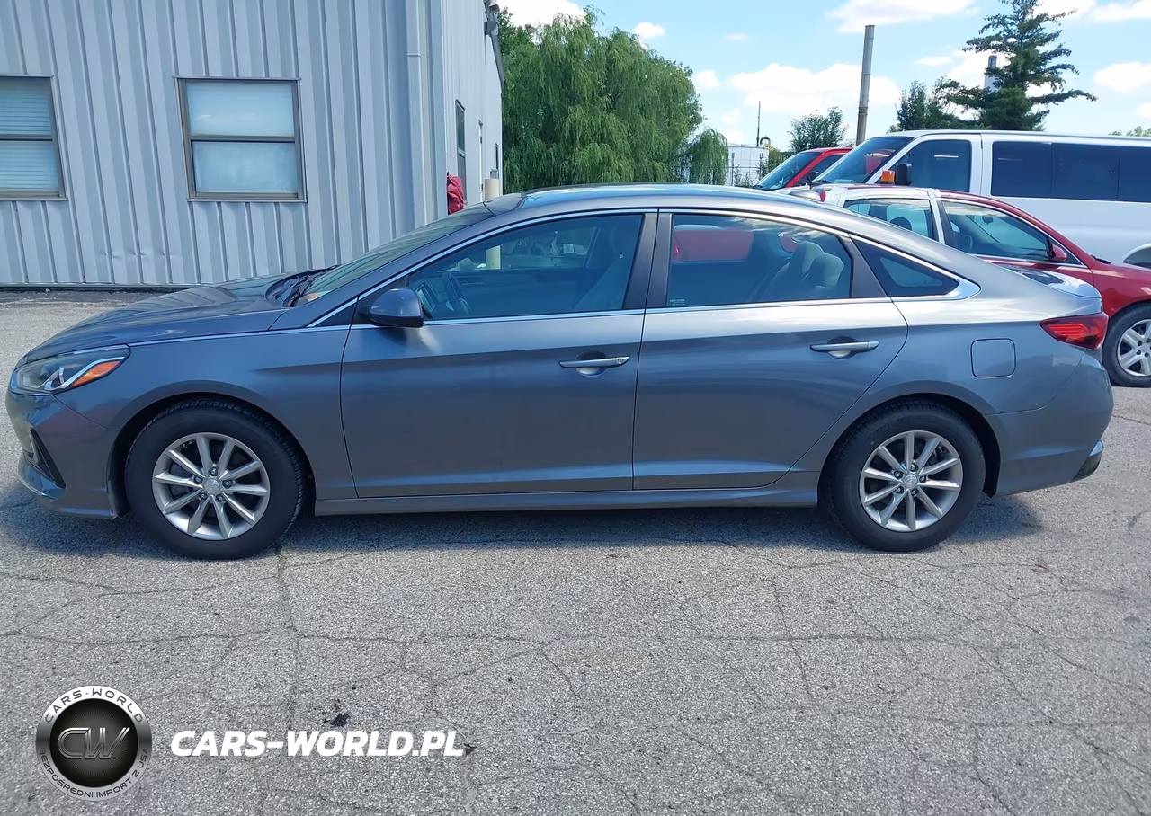 2019 Hyundai Sonata Eco VIN:5NPE24AA1KH773953 - 15