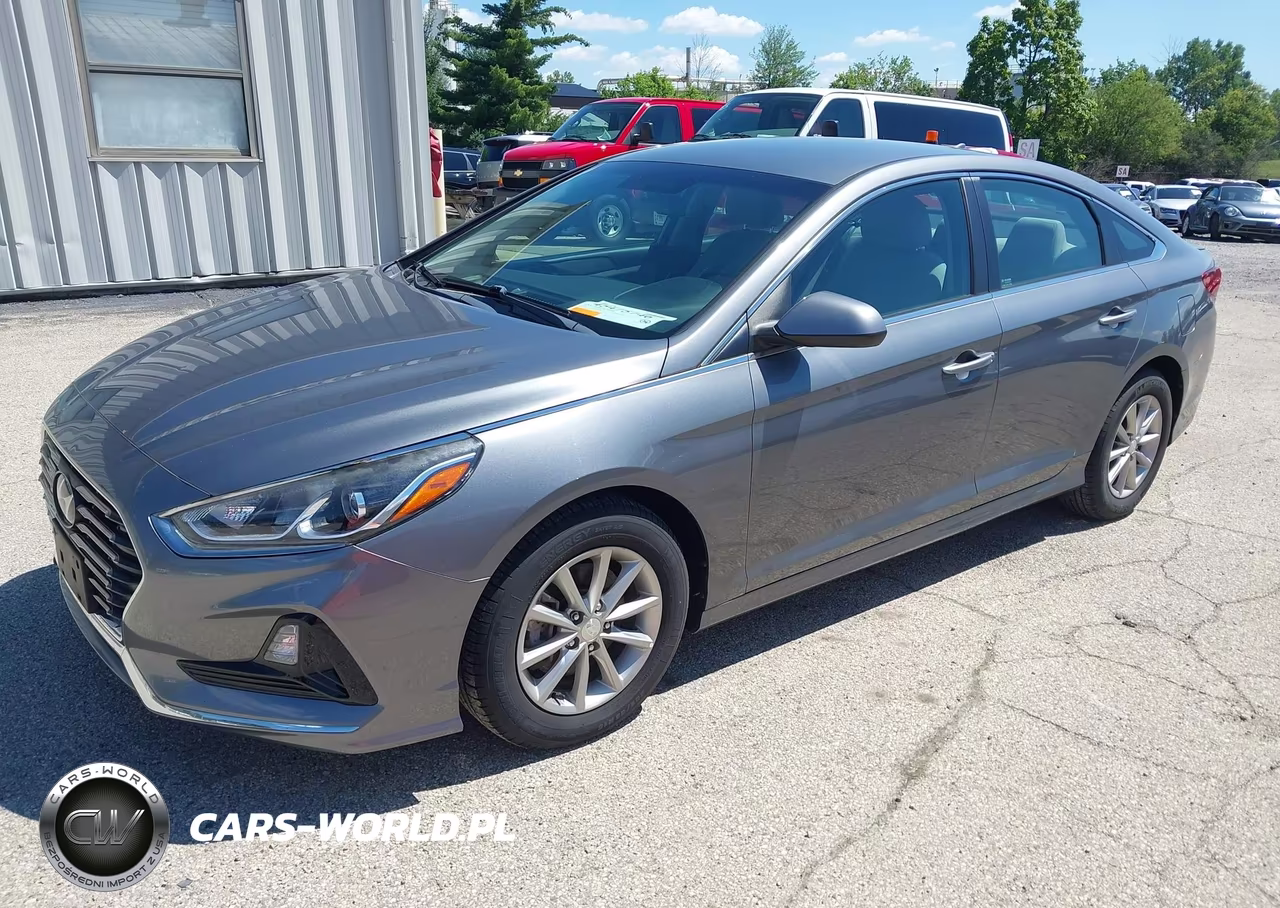 2019 Hyundai Sonata Eco VIN:5NPE24AA1KH773953 - 2