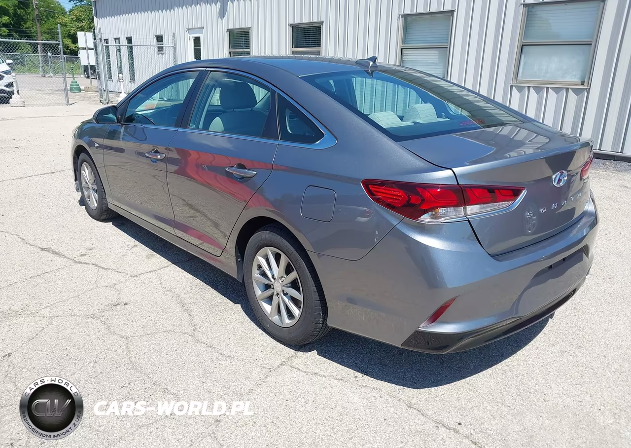 2019 Hyundai Sonata Eco VIN:5NPE24AA1KH773953 - 3