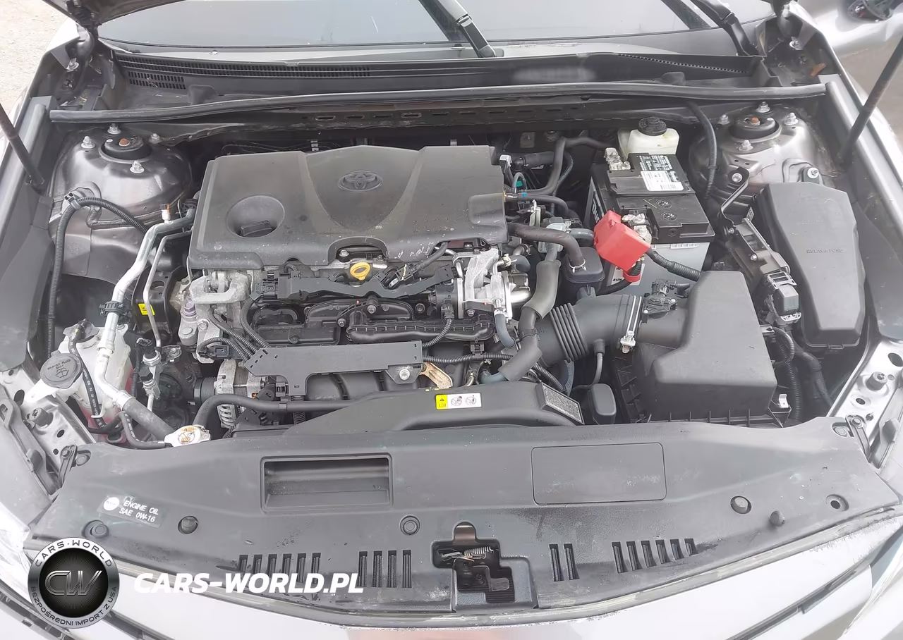 2020 Toyota Camry Xle VIN:4T1F11AK5LU392219 - 10