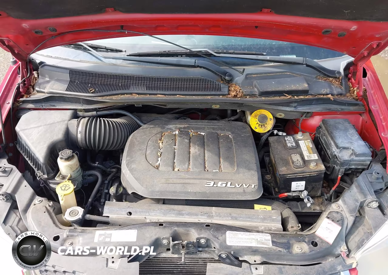 2014 Dodge Grand Caravan Sxt VIN:2C4RDGCG3ER155636 - 10