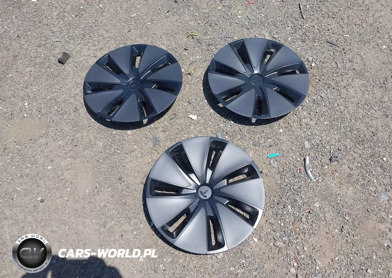 2025 Tesla Model 3 Long Range Rear-Wheel Drive-Standard Rear-Wheel Drive VIN:5YJ3E1EAXSF035865 - 12