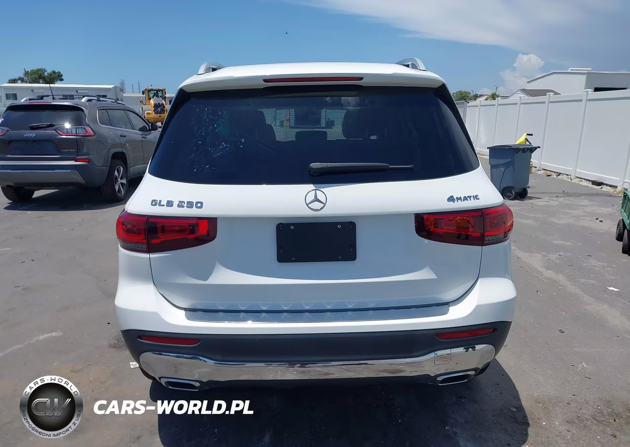2023 Mercedes-Benz Glb 250 4Matic VIN:W1N4M4HB6PW285337 - 17