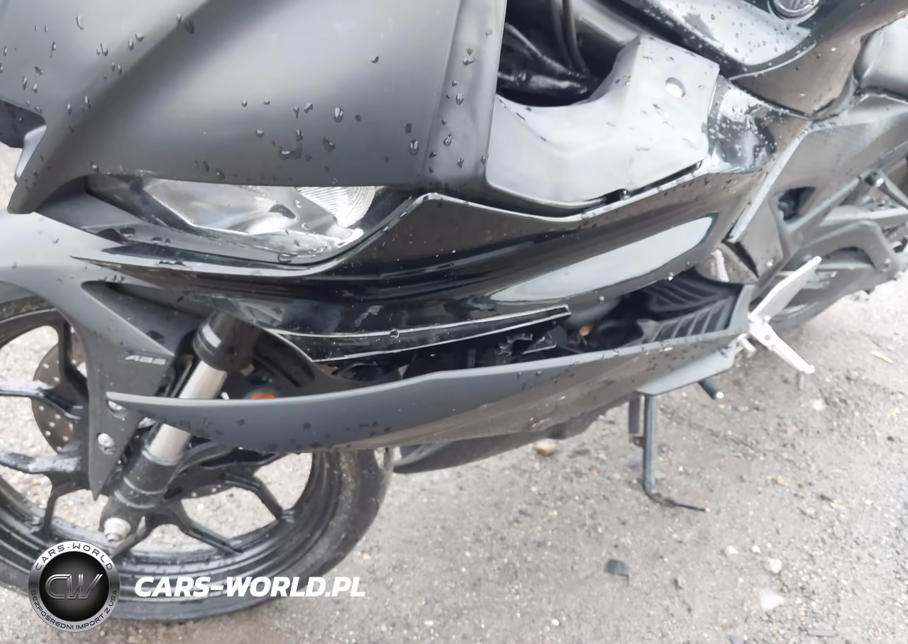 2020 Yamaha Yzfr3 A VIN:MH3RH18Y3LK004893 - 17