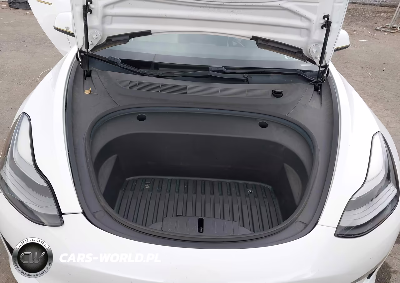2021 Tesla Model 3 Standard Range Plus Rear-Wheel Drive VIN:5YJ3E1EA7MF048320 - 10