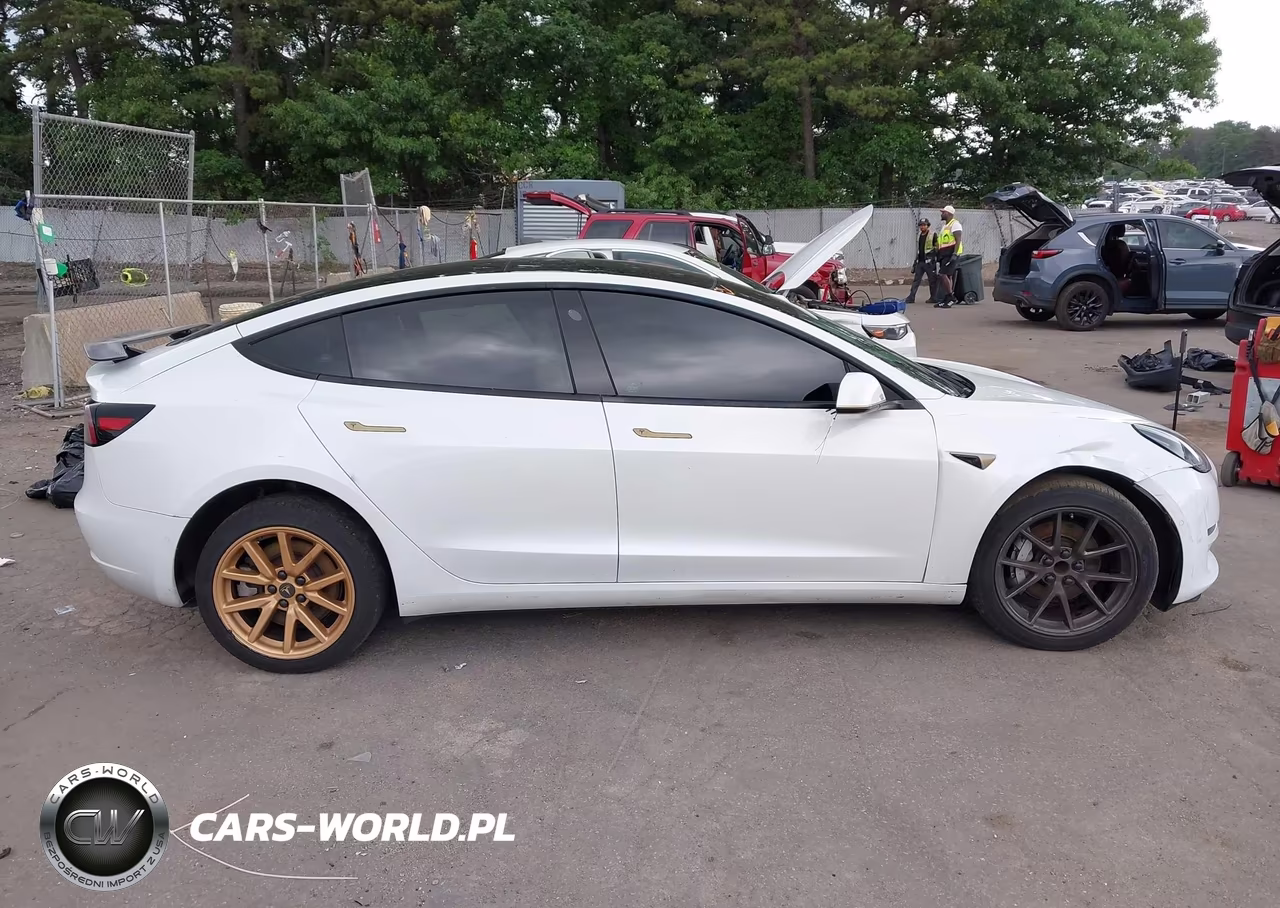 2021 Tesla Model 3 Standard Range Plus Rear-Wheel Drive VIN:5YJ3E1EA7MF048320 - 13