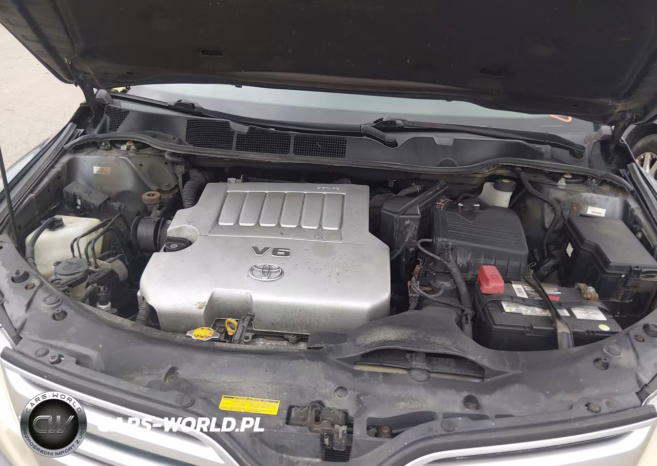 2010 Toyota Venza Base V6 VIN:4T3BK3BB6AU038400 - 10