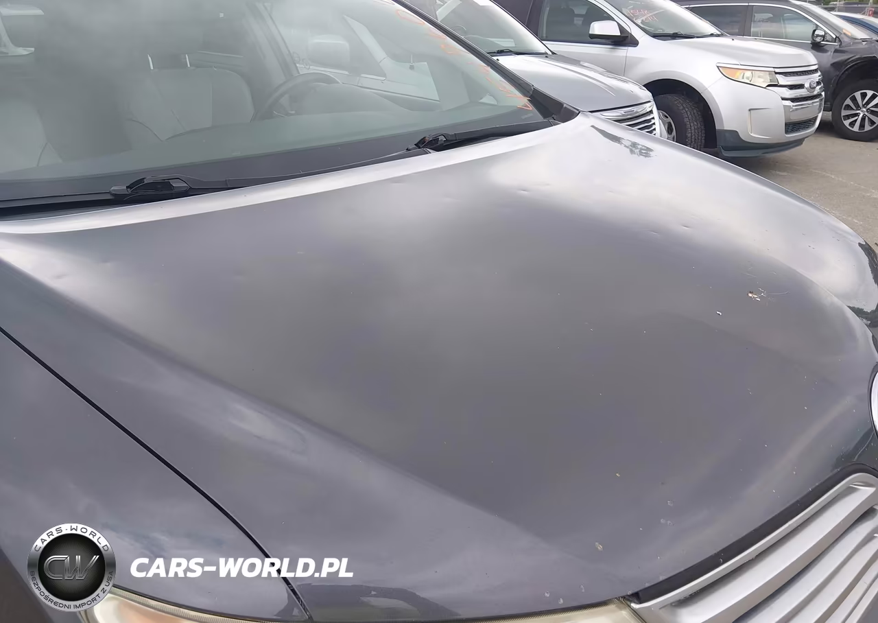 2010 Toyota Venza Base V6 VIN:4T3BK3BB6AU038400 - 17
