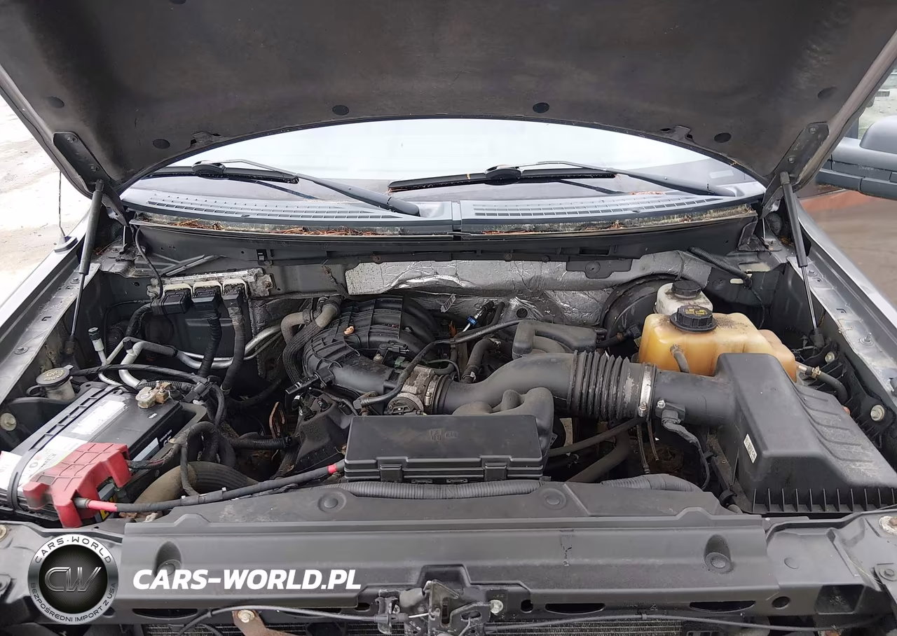 2013 Ford F-150 Stx-Xl-Xlt VIN:1FTEX1CM7DKF88401 - 10