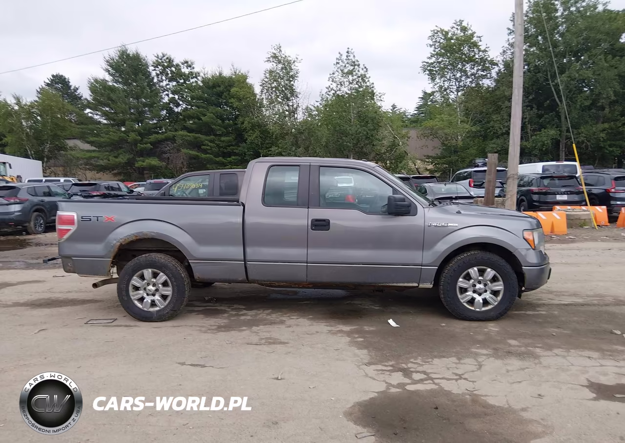 2013 Ford F-150 Stx-Xl-Xlt VIN:1FTEX1CM7DKF88401 - 13