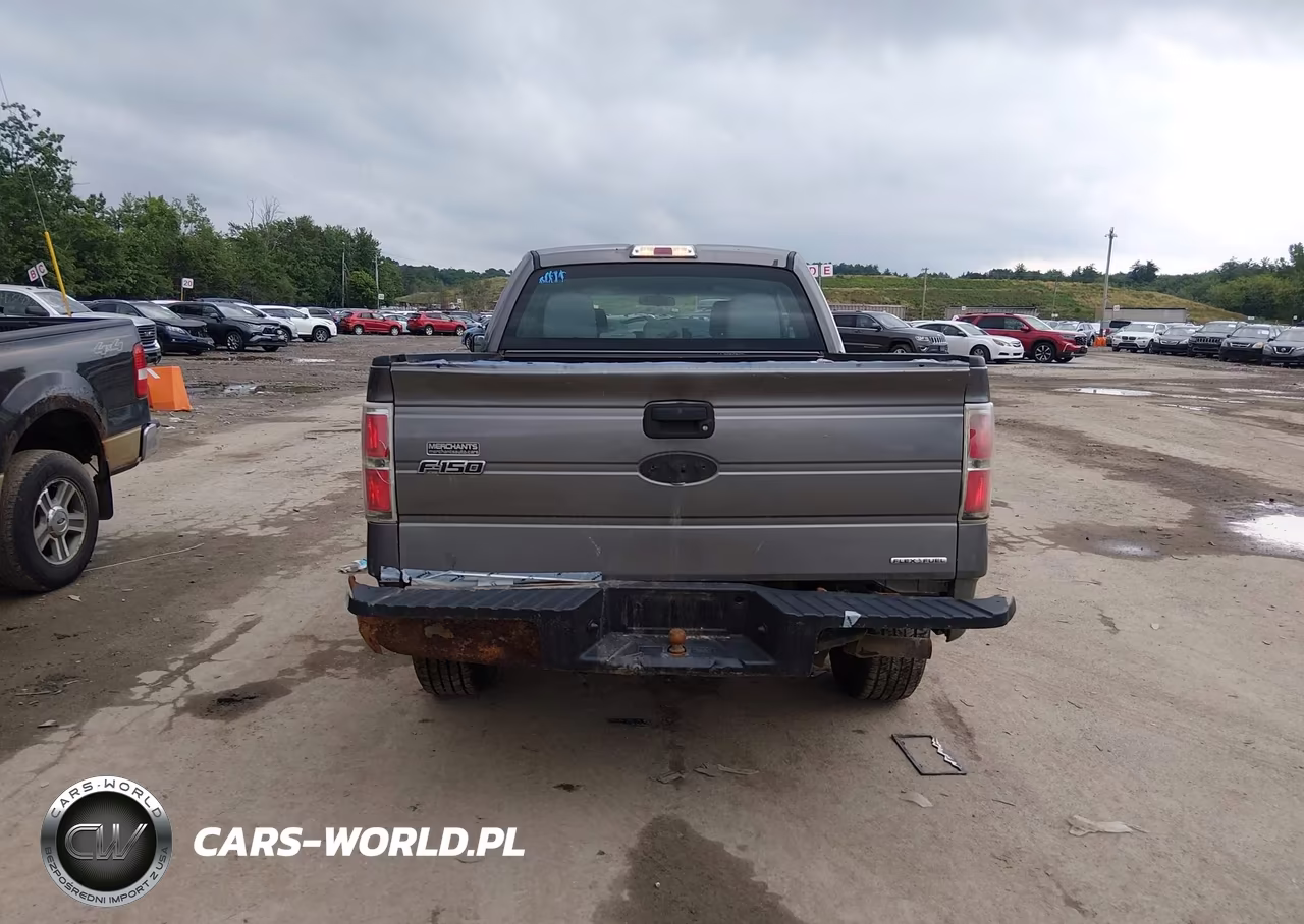 2013 Ford F-150 Stx-Xl-Xlt VIN:1FTEX1CM7DKF88401 - 16