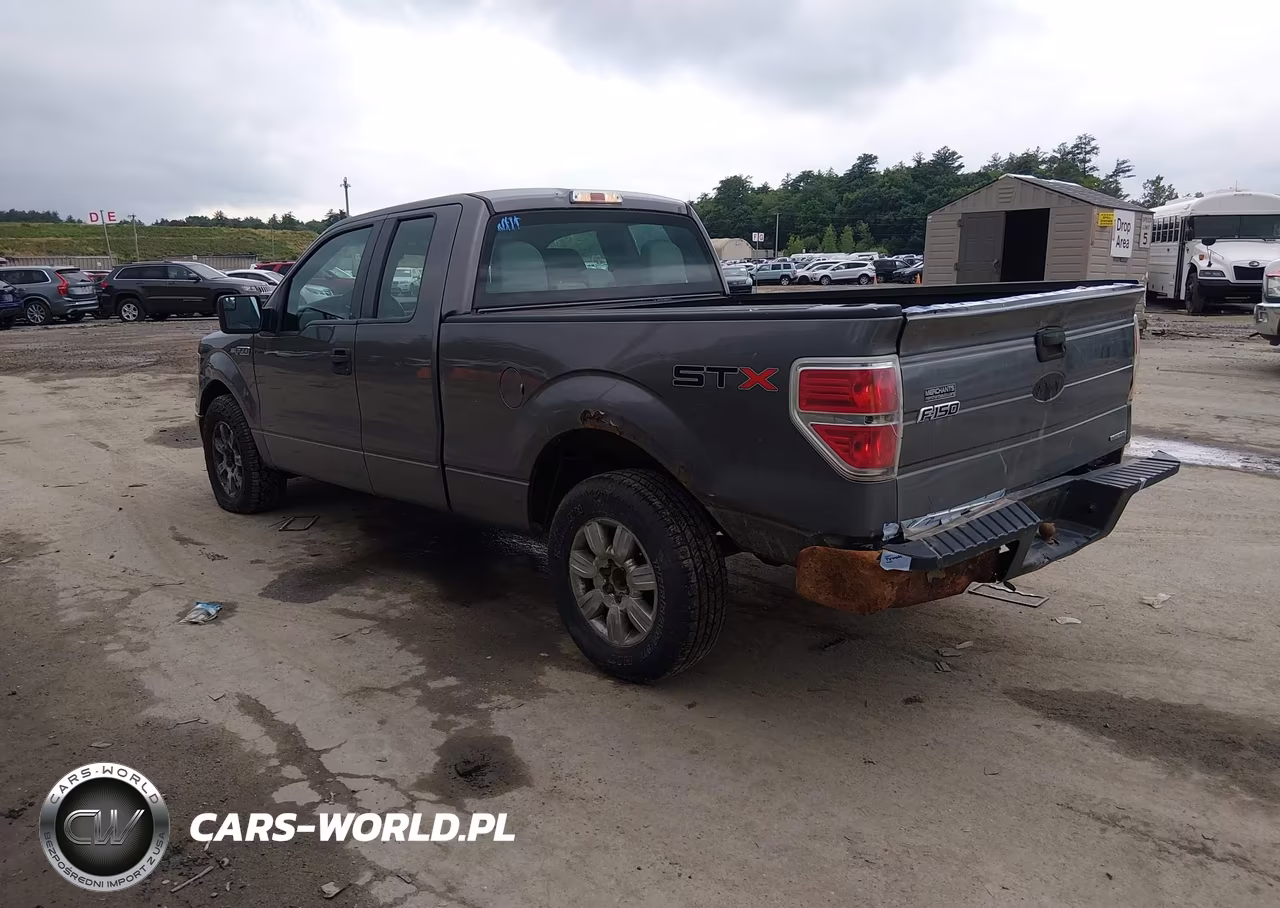 2013 Ford F-150 Stx-Xl-Xlt VIN:1FTEX1CM7DKF88401 - 3