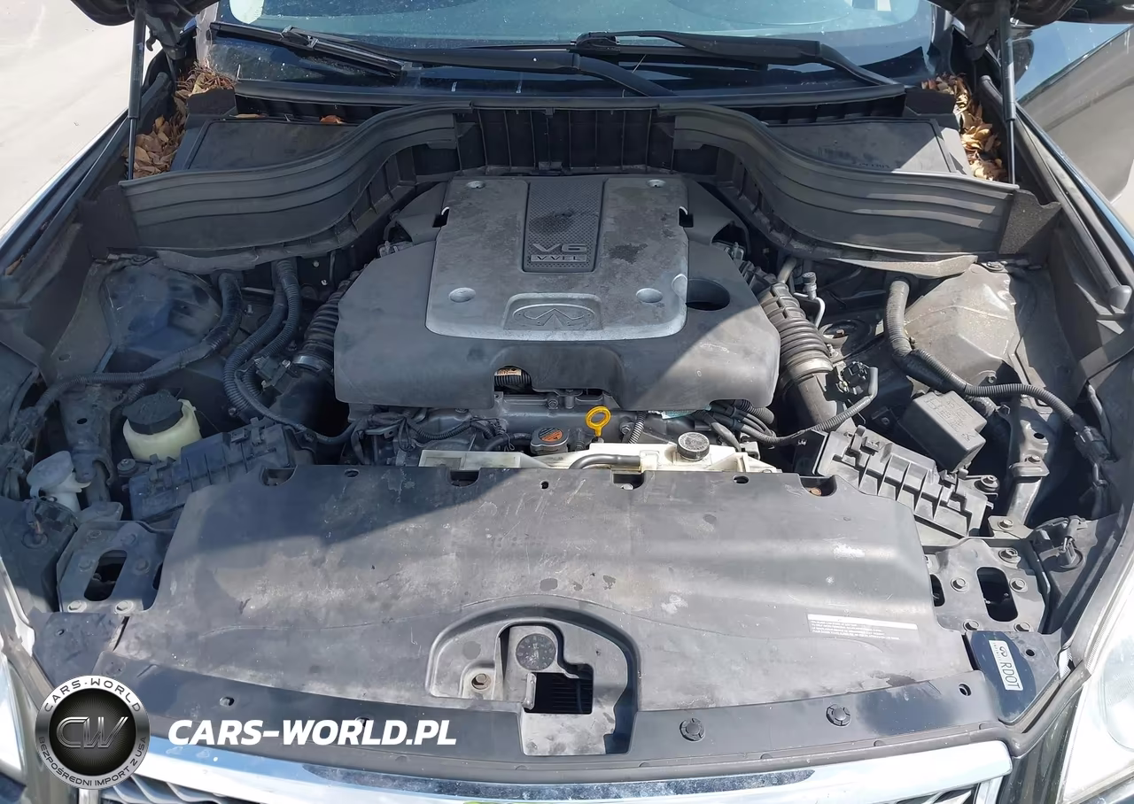 2016 Infiniti Qx50 VIN:JN1BJ0RP6GM235952 - 10