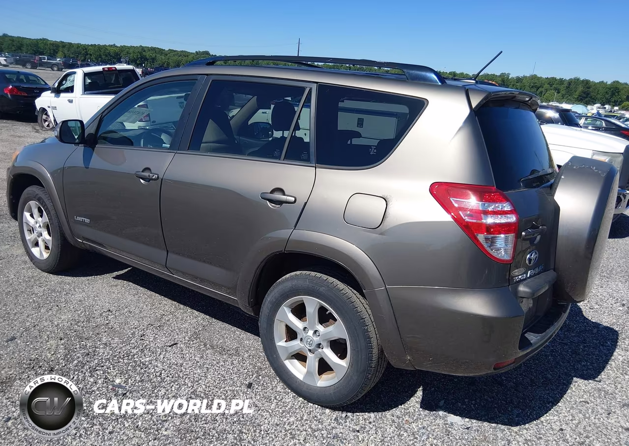 2010 Toyota Rav4 Limited VIN:JTMDF4DV0A5019505 - 3
