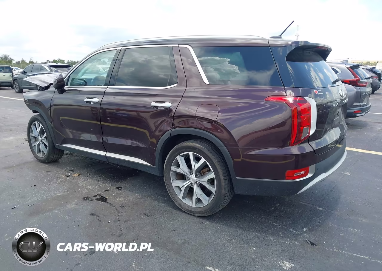 2020 Hyundai Palisade Sel VIN:KM8R44HE9LU084072 - 3