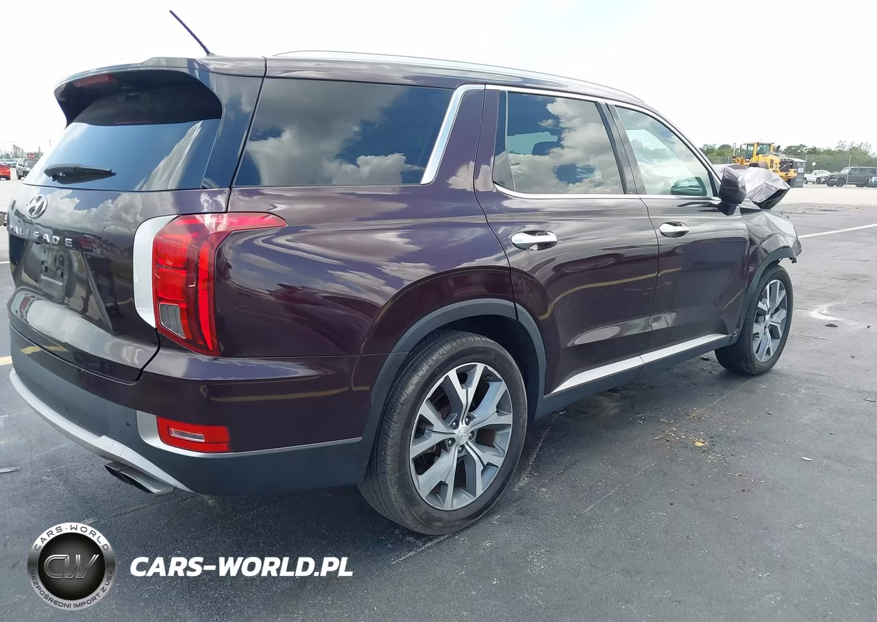 2020 Hyundai Palisade Sel VIN:KM8R44HE9LU084072 - 4