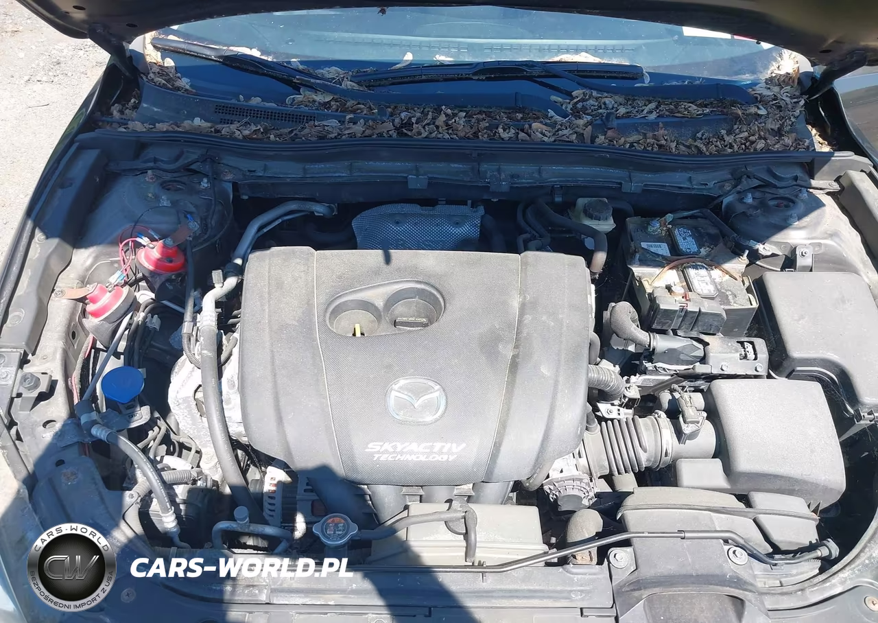 2016 Mazda Mazda3 I Touring VIN:3MZBM1W75GM247851 - 10
