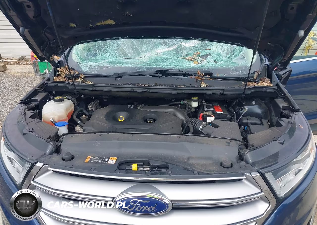 2017 Ford Edge Sel VIN:2FMPK4J90HBB35238 - 10